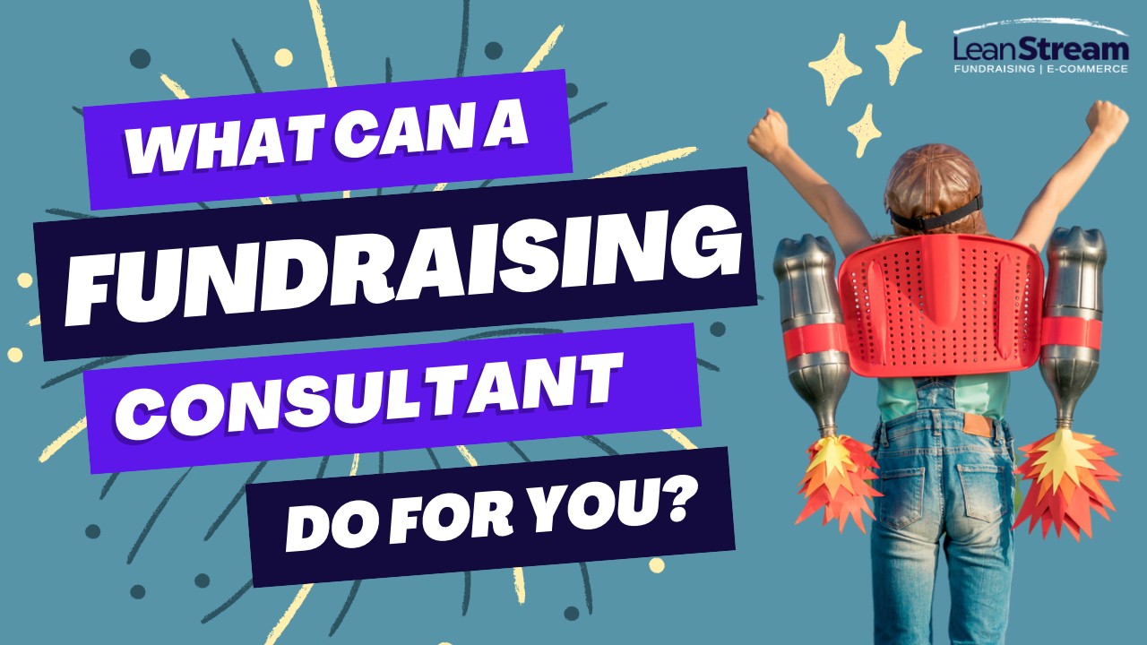 what can a fundraising consultant do for you